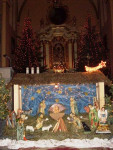 DSCN8773.jpg