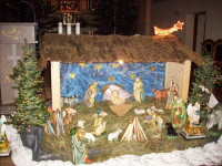 DSCN8769.jpg