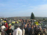 DSCN1431.jpg