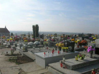 DSCN1429.jpg