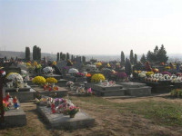 DSCN1426.jpg