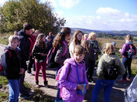 P1020063.jpg