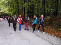 P1020120.jpg