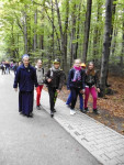 P1020123.jpg