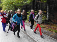 P1020121.jpg