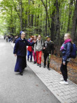 P1020122.jpg