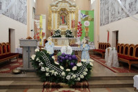 IMG_6517.JPG