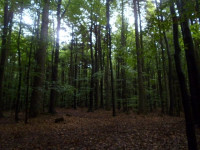P1100856.JPG