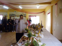P1040334.JPG