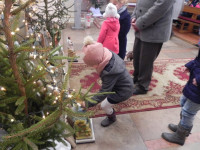 DSCN9526.JPG