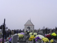 DSCN7475.JPG