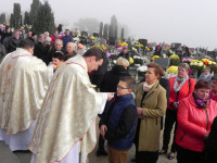 DSCN7498.JPG