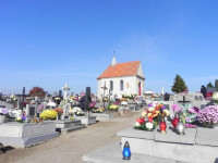 DSCN7585.JPG