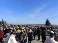 DSCN7761.JPG