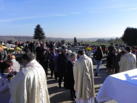 DSCN7765.JPG