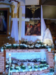 DSCN9558.JPG