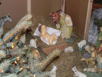DSCN3784.JPG