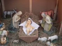 DSCN3779.JPG