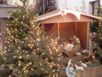 DSCN3783.JPG