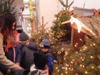 DSCN3772.JPG