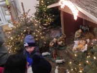 DSCN3773.JPG