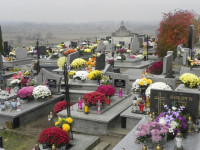 DSCN0558.JPG