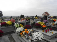 DSCN0649.JPG