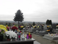 DSCN0656.JPG