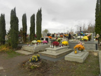 DSCN0651.JPG