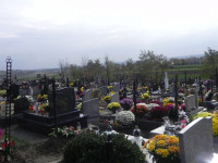 DSCN0710.JPG