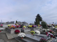 DSCN0732.JPG