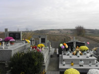 DSCN0747.JPG