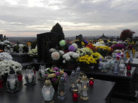 DSCN0810.JPG