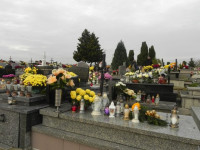 DSCN0811.JPG