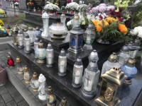 DSCN0802.JPG