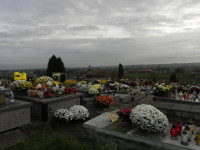 DSCN0857.JPG