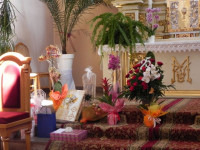 DSCN8202.JPG