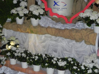 DSCN4908.JPG