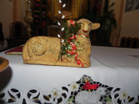 DSCN5014.JPG