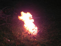DSCN4845.JPG