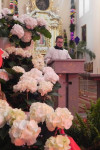 DSCN4634.JPG