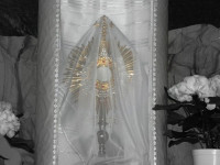 DSCN4742.JPG