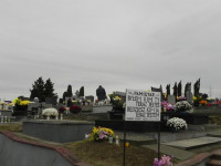 DSCN8185.JPG