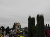 DSCN8186.JPG