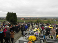 DSCN8198.JPG