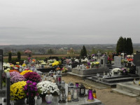 DSCN8224.JPG