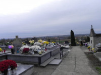 DSCN8245.JPG