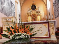 DSCN7698.JPG