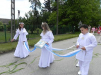 DSCN5564.JPG