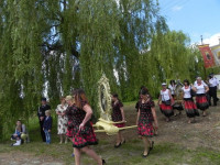 DSCN5597.JPG